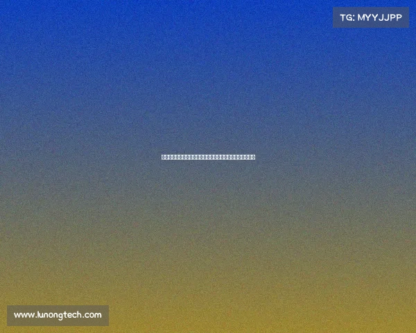 美职篮赛事体系全程结构解析涵盖常规赛季后赛总决赛全流程